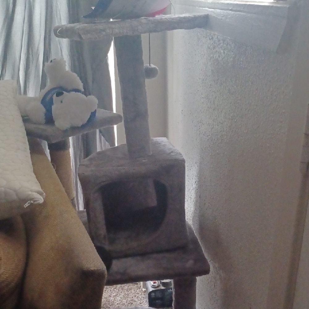 Gray Cat Tree with Multiple Levels